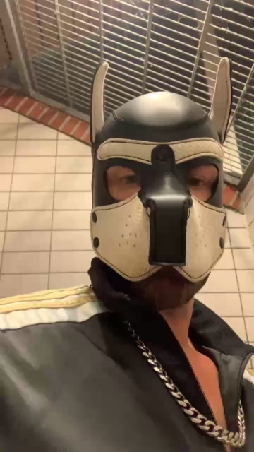 machobulle2  01-08-2021 Recorded Video Download